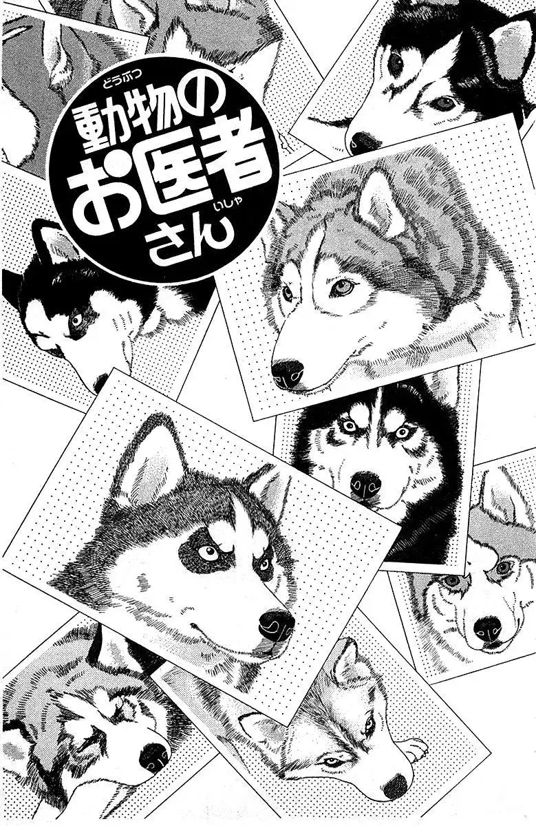 Doubutsu no Oishasan Chapter 84 3